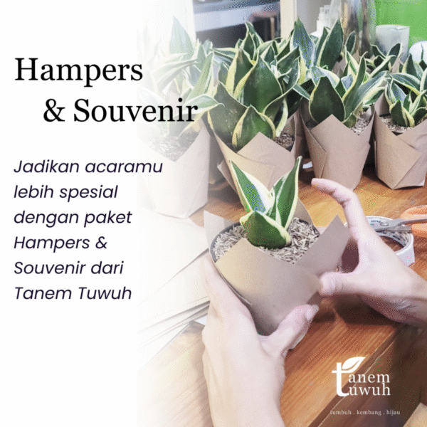 Screenshot 2025-08-02 at 17.48.12 Screenshot 2025-08-02 at 17.48.12