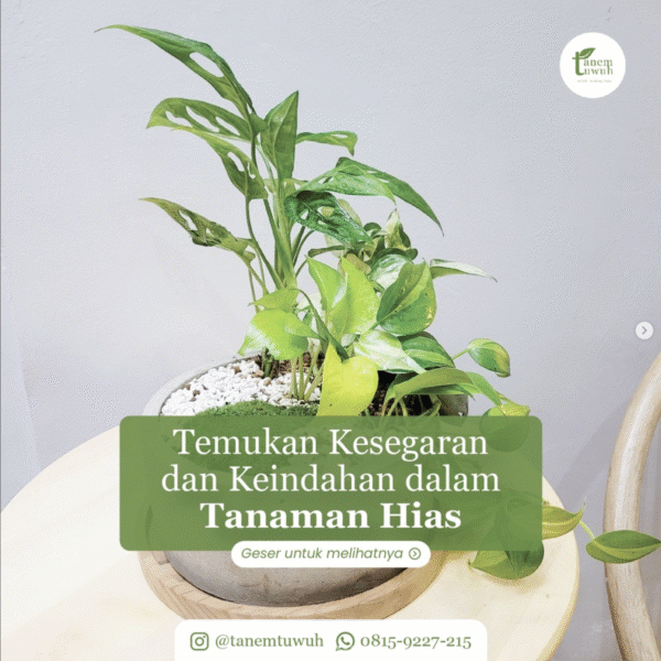 Screenshot 2025-08-02 at 17.49.07 Screenshot 2025-08-02 at 17.49.07