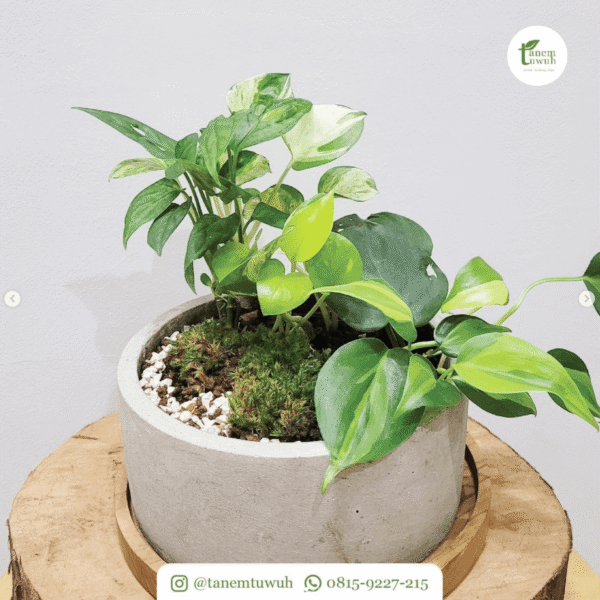 Screenshot 2025-08-10 at 13.28.01 Screenshot 2025-08-10 at 13.28.01