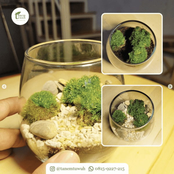 Screenshot 2025-08-10 at 13.42.47 Screenshot 2025-08-10 at 13.42.47