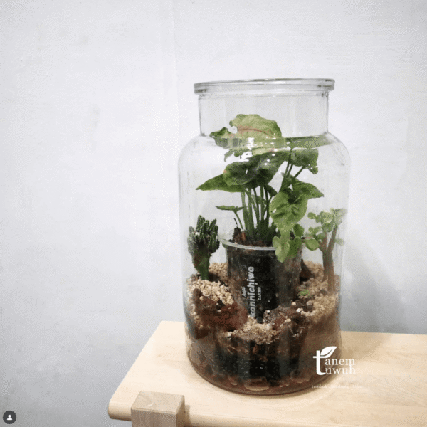 Screenshot 2025-08-10 at 13.43.35 Screenshot 2025-08-10 at 13.43.35