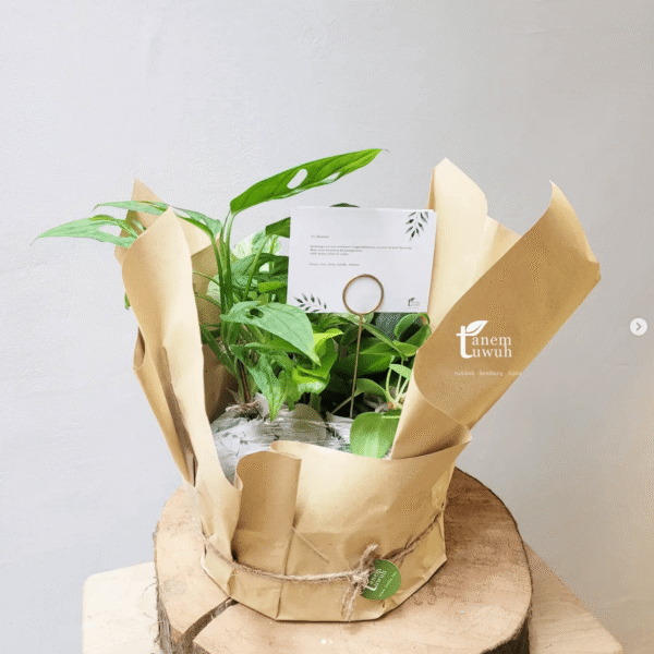 Screenshot 2025-08-10 at 13.46.53 Screenshot 2025-08-10 at 13.46.53