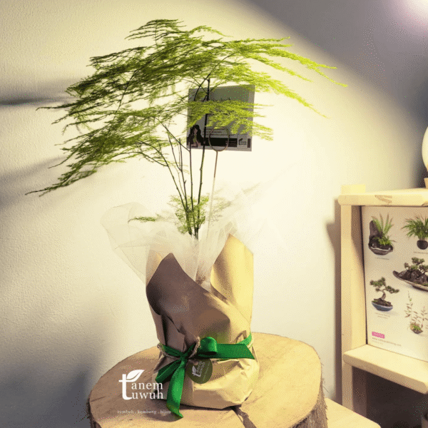 Screenshot 2025-08-10 at 13.47.08 Screenshot 2025-08-10 at 13.47.08