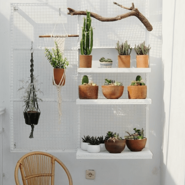 Screenshot 2025-08-10 at 14.00.01 Screenshot 2025-08-10 at 14.00.01