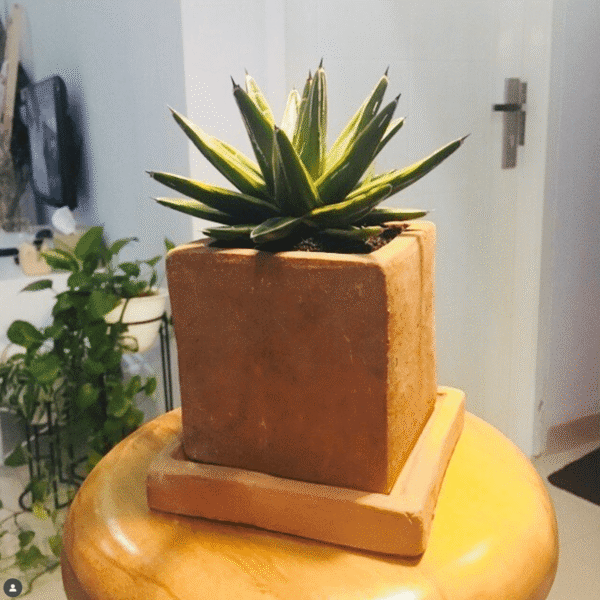 Screenshot 2025-08-10 at 14.00.29 Screenshot 2025-08-10 at 14.00.29