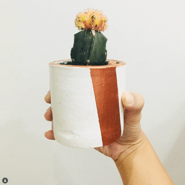 Screenshot 2025-08-10 at 14.00.44 Screenshot 2025-08-10 at 14.00.44