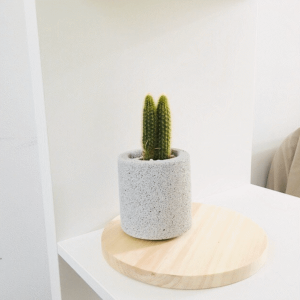 Screenshot 2025-08-10 at 14.01.17 Screenshot 2025-08-10 at 14.01.17